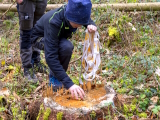 Kinder-Winter-Wanderung - Foto Bernd Dörwald